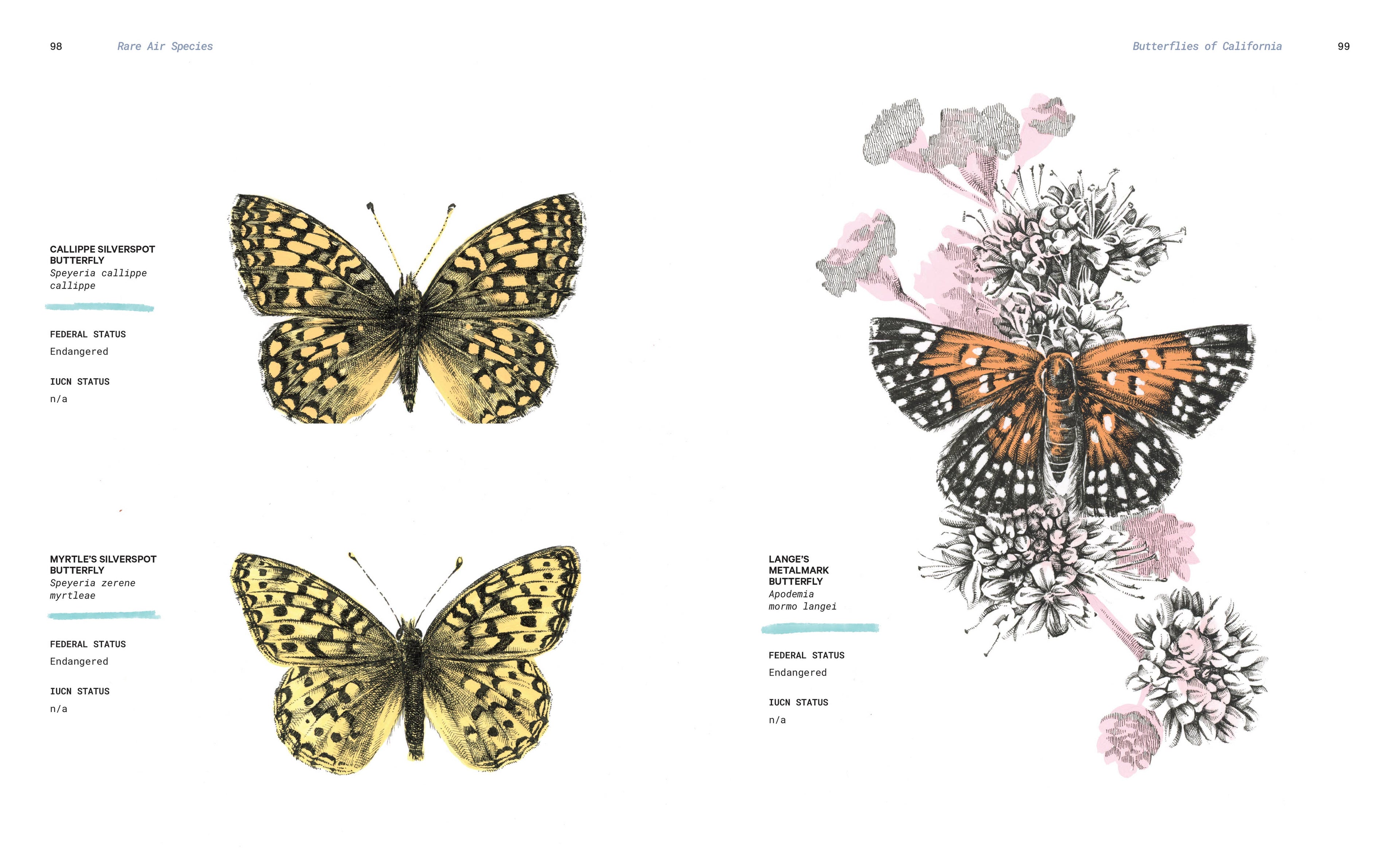 Rare Air: Endangered Birds, Bats, Butterflies & Bees