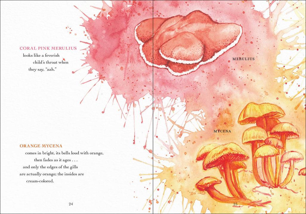 Wonder of Mushrooms