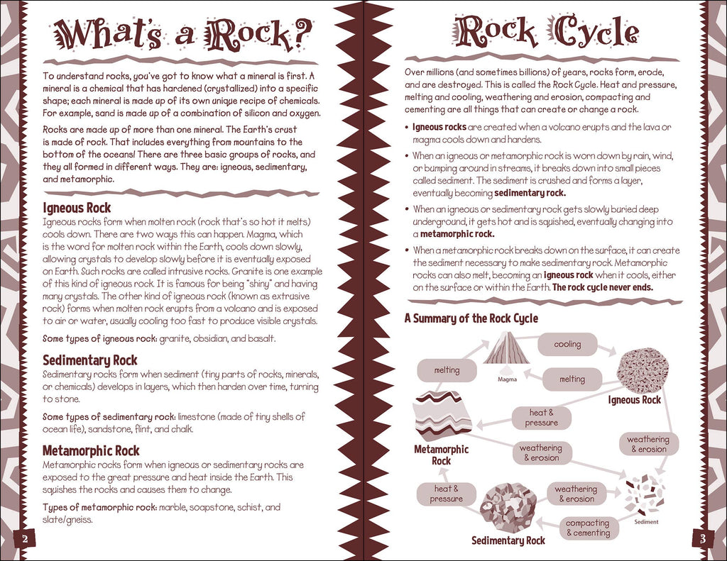 Rock Log Kids