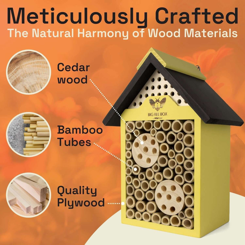 Bee House – Big Bee Box