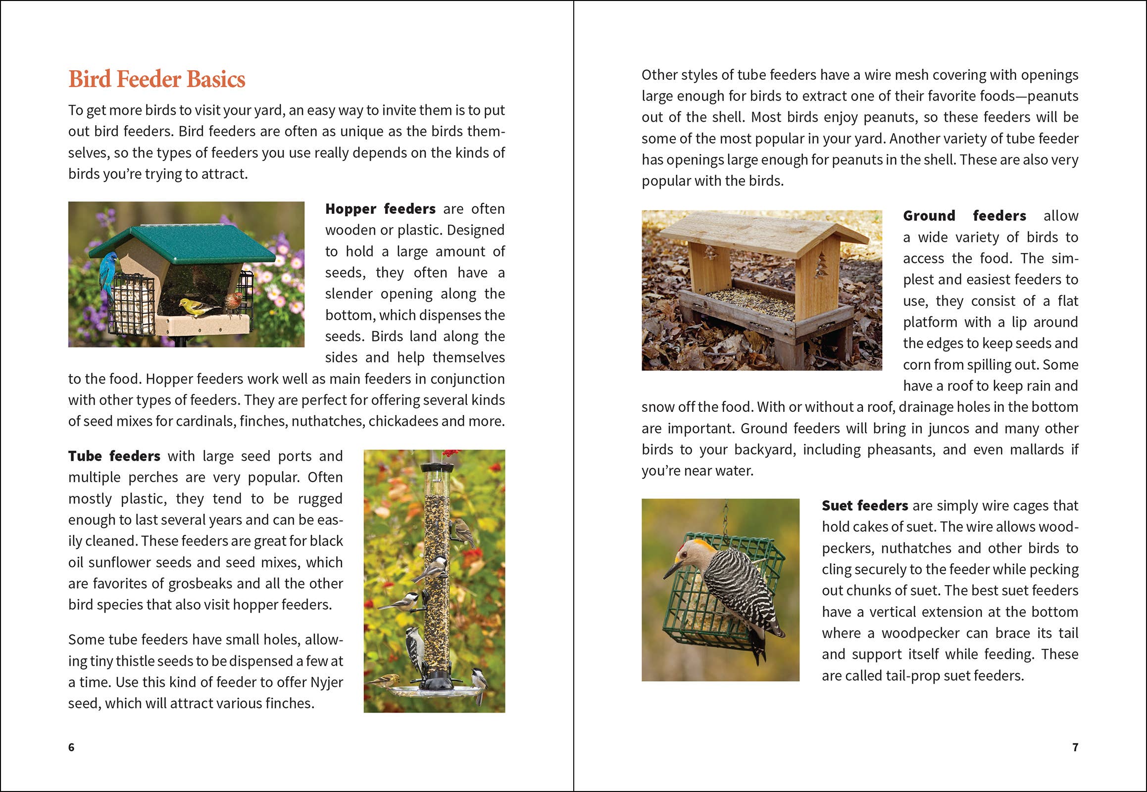 Stan Tekiela Birding Beginners: South