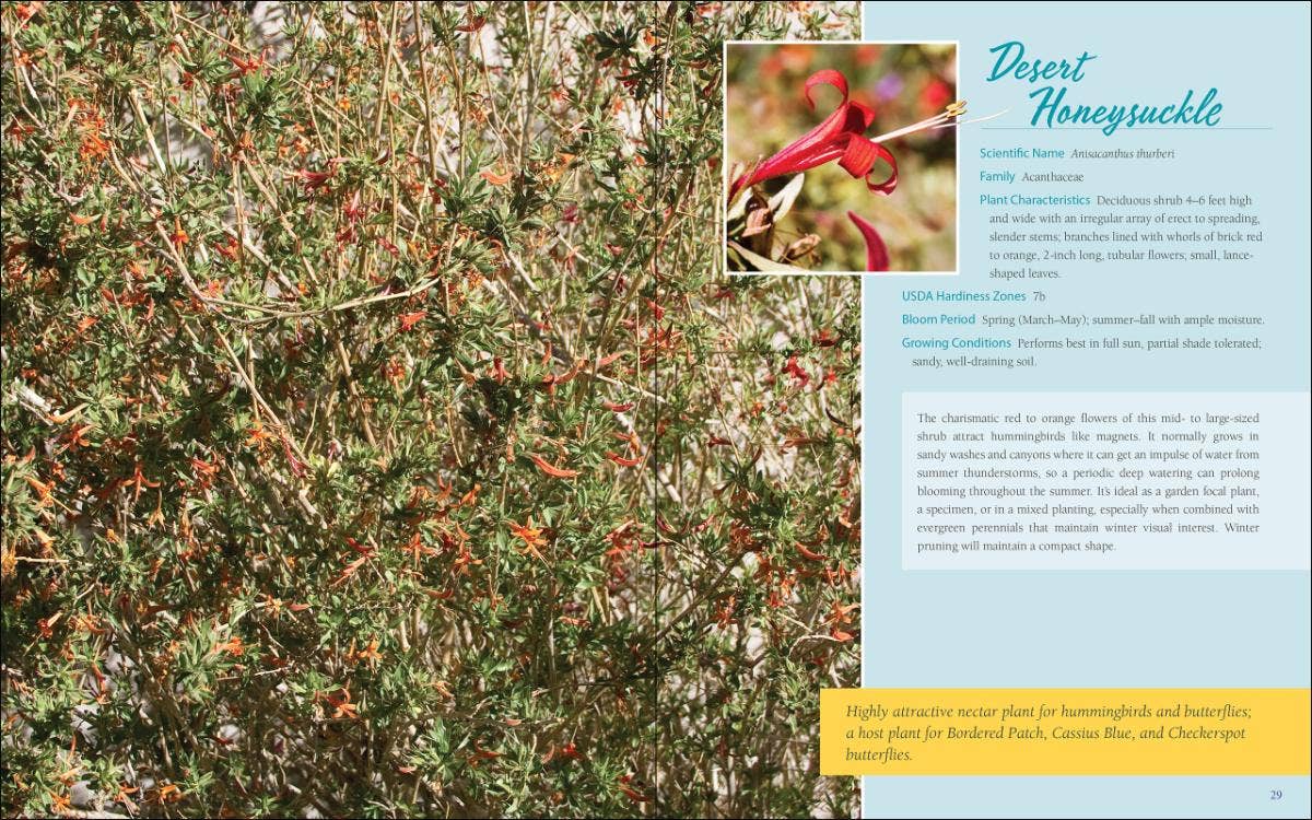 Native Plant Gardening: Southwest