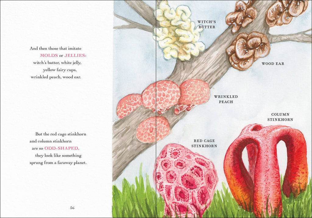 Wonder of Mushrooms