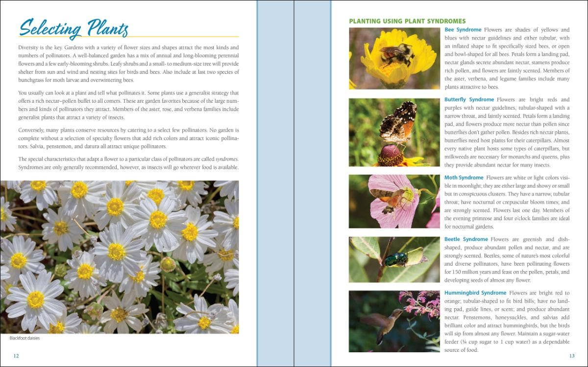 Native Plant Gardening: South