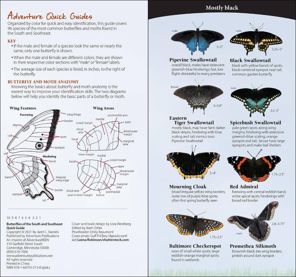 Butterflies of South & Southeast Quick Guide