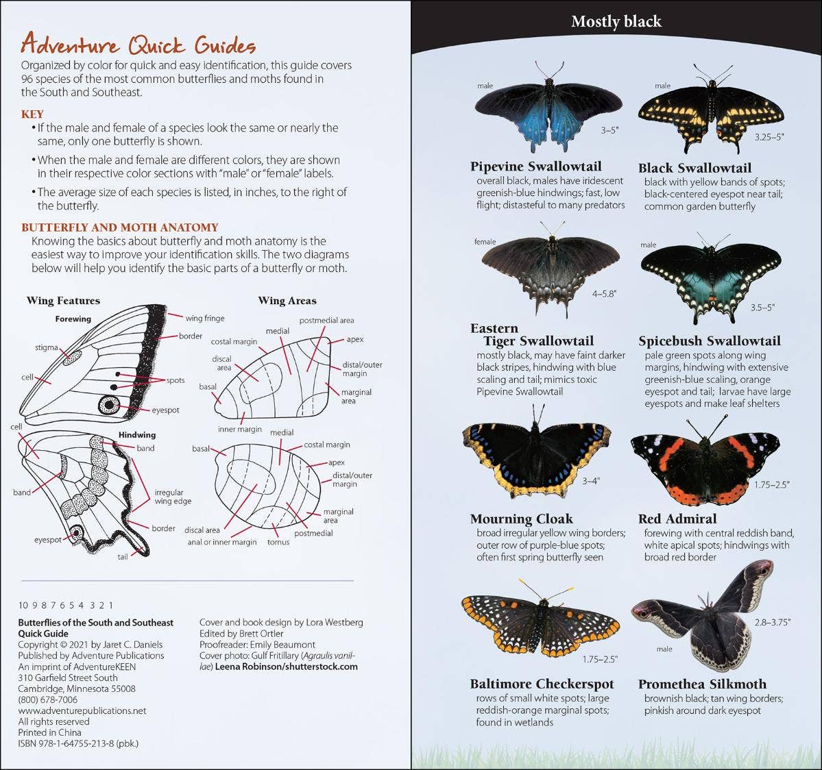 Butterflies of South & Southeast Quick Guide