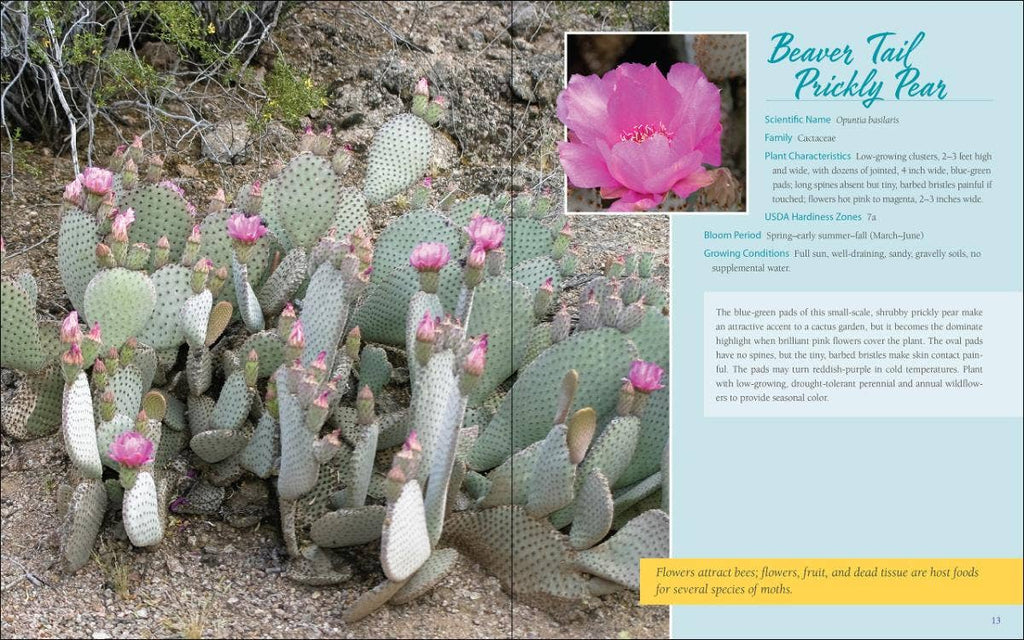 Native Plant Gardening: Southwest