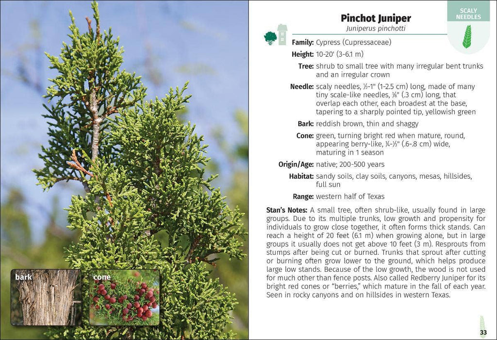Trees of Texas Field Guide 2e