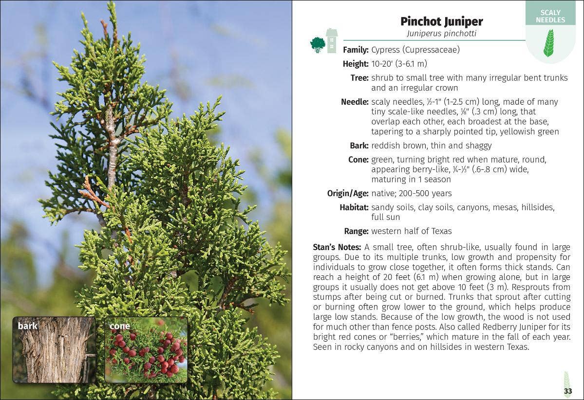 Trees of Texas Field Guide 2e