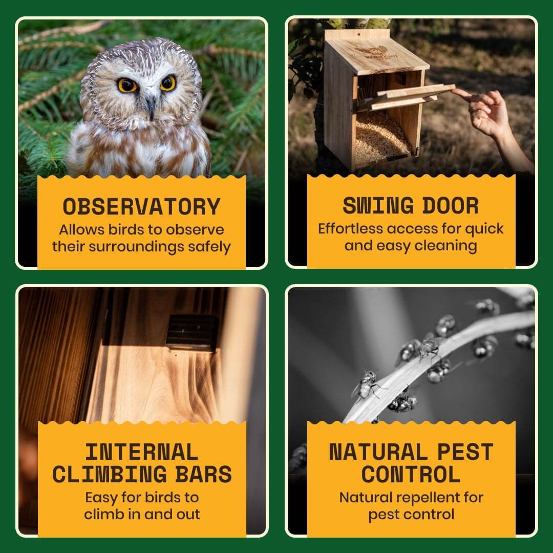 Owl Box for Yards