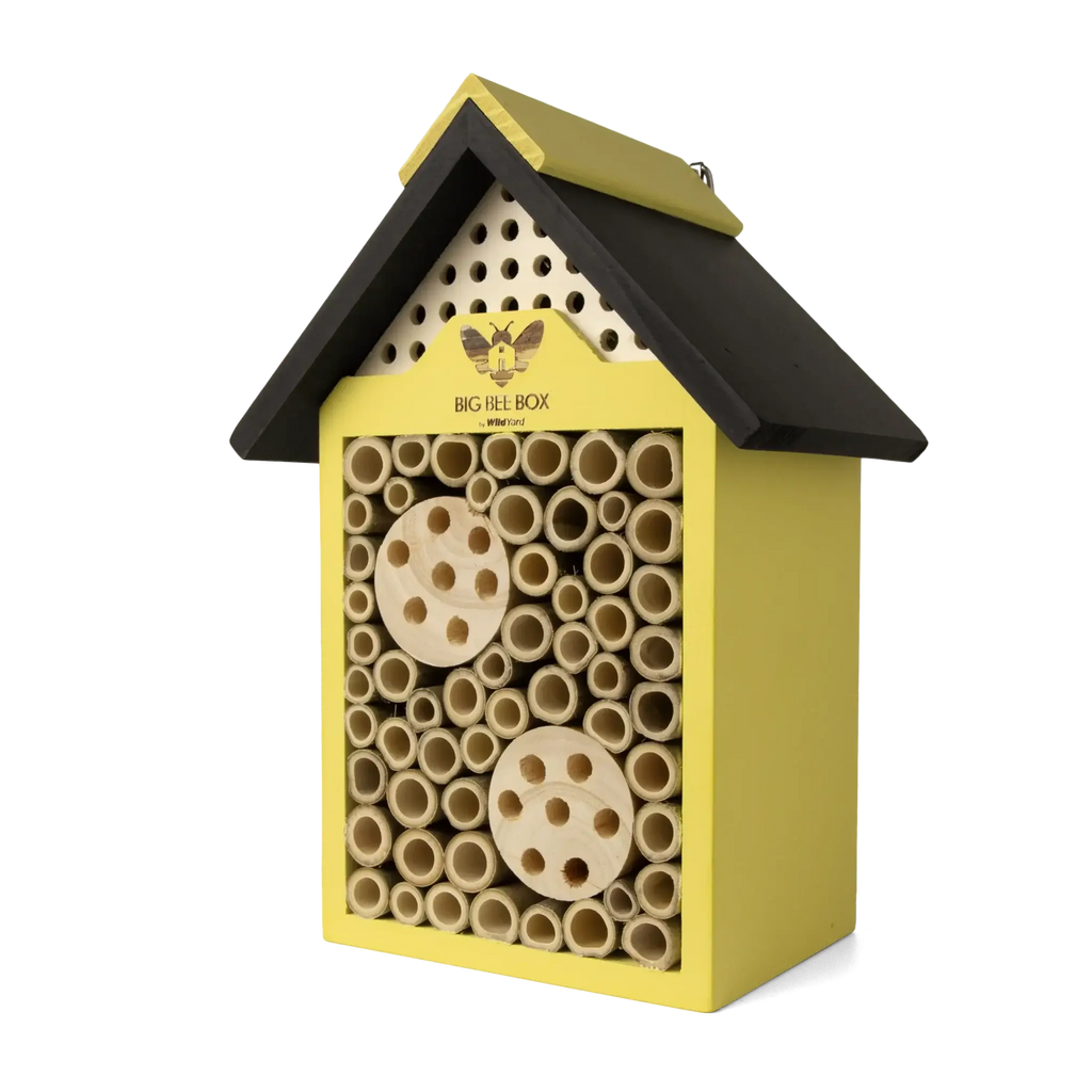 Bee House – Big Bee Box