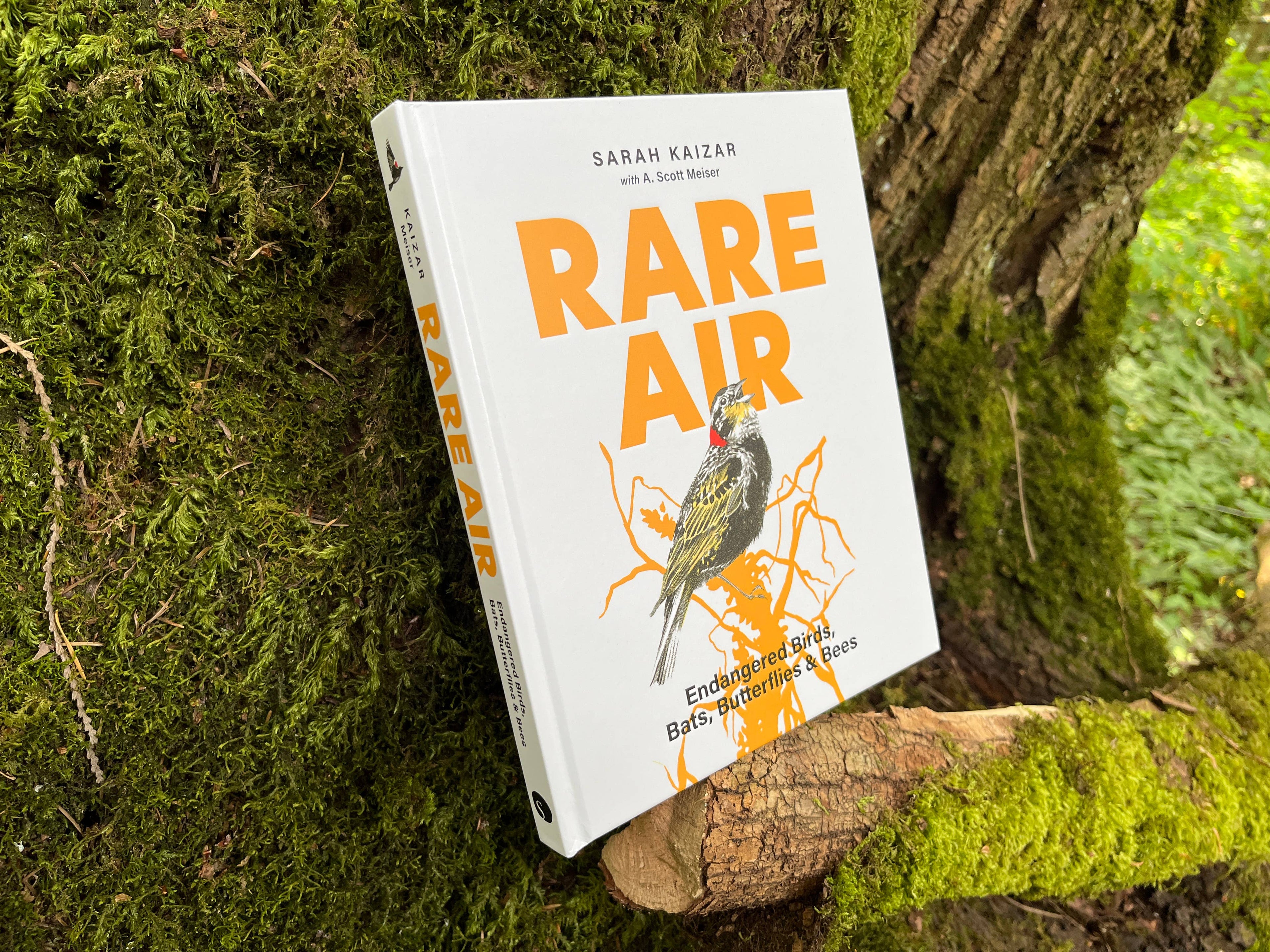 Rare Air: Endangered Birds, Bats, Butterflies & Bees