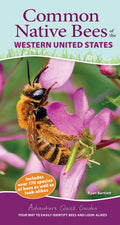 Common Native Bees of Western US Quick Guide