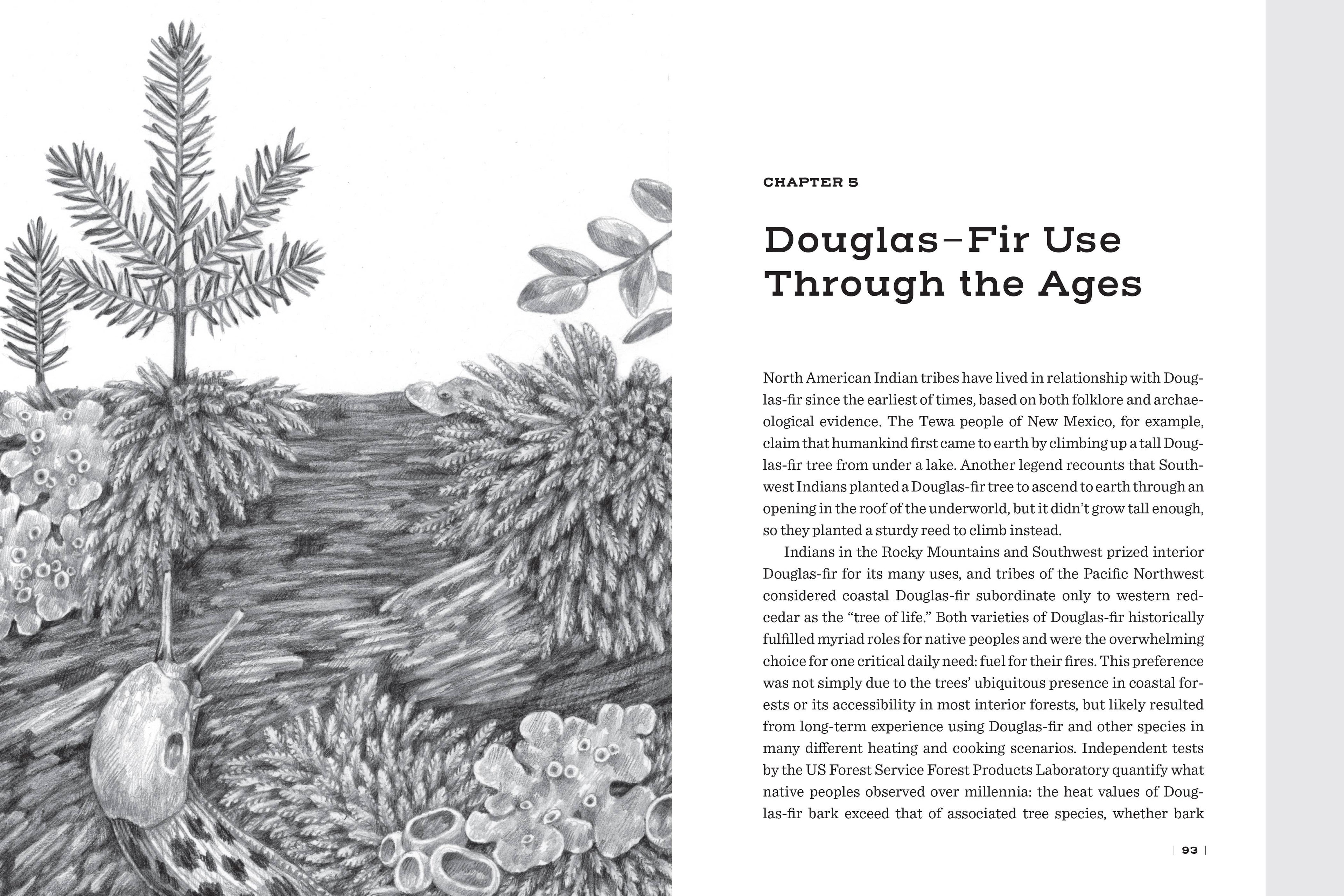Douglas Fir: The Story of the West’s Most Remarkable Tree