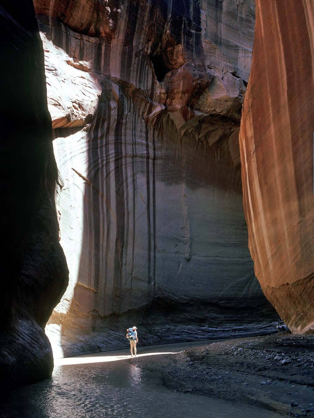 100 Classic Hikes: Arizona