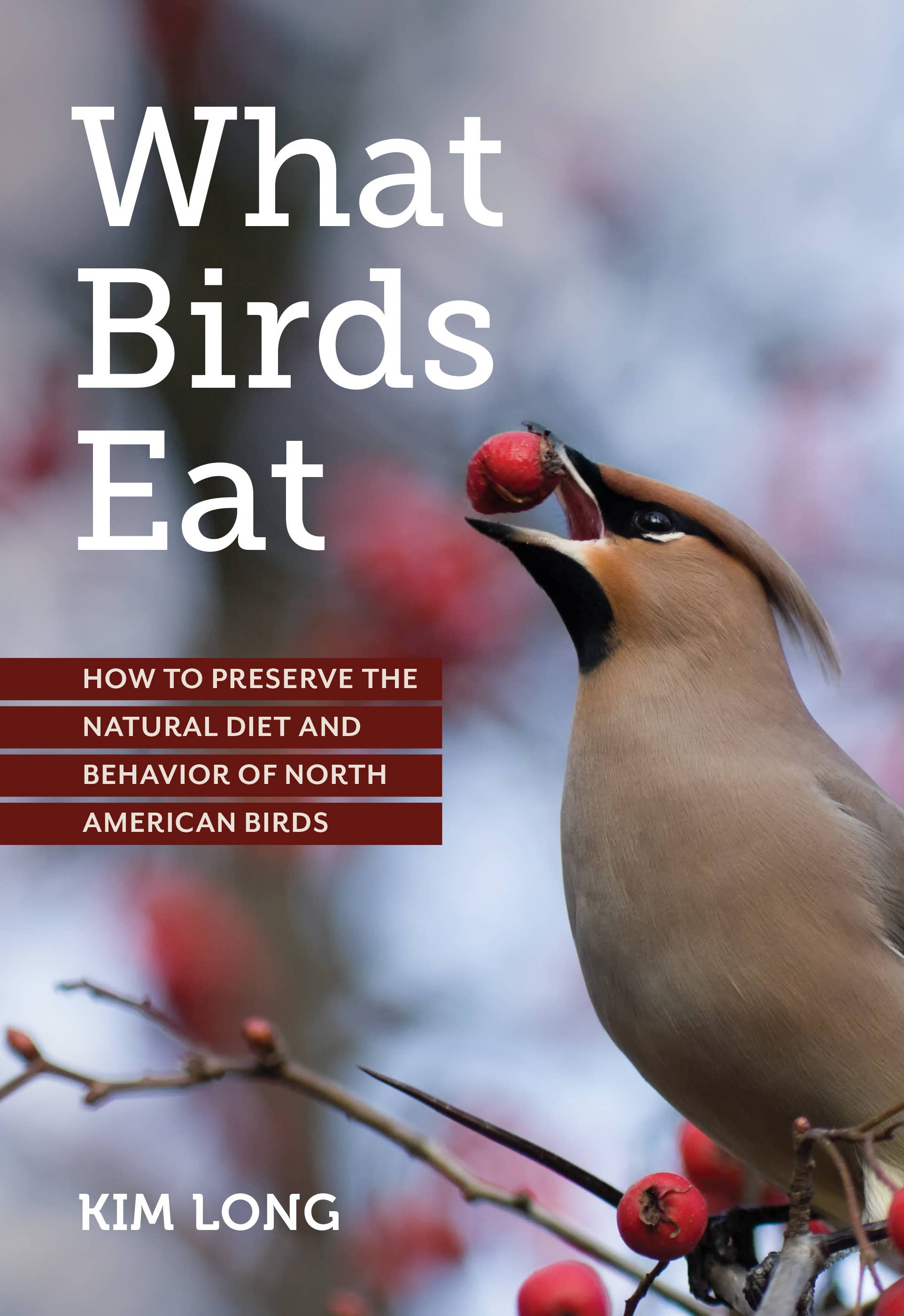 What Birds Eat