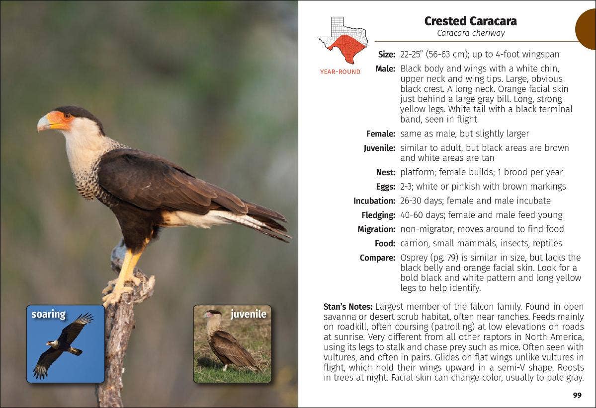 Birds of Texas Field Guide 2e