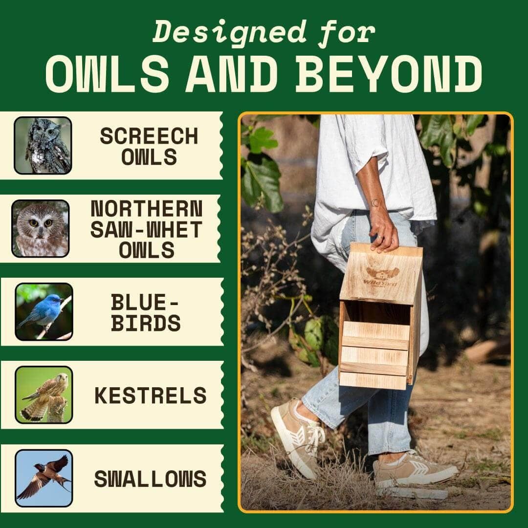 Owl Box for Yards