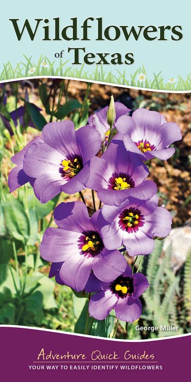 Wildflowers of Texas Quick Guide