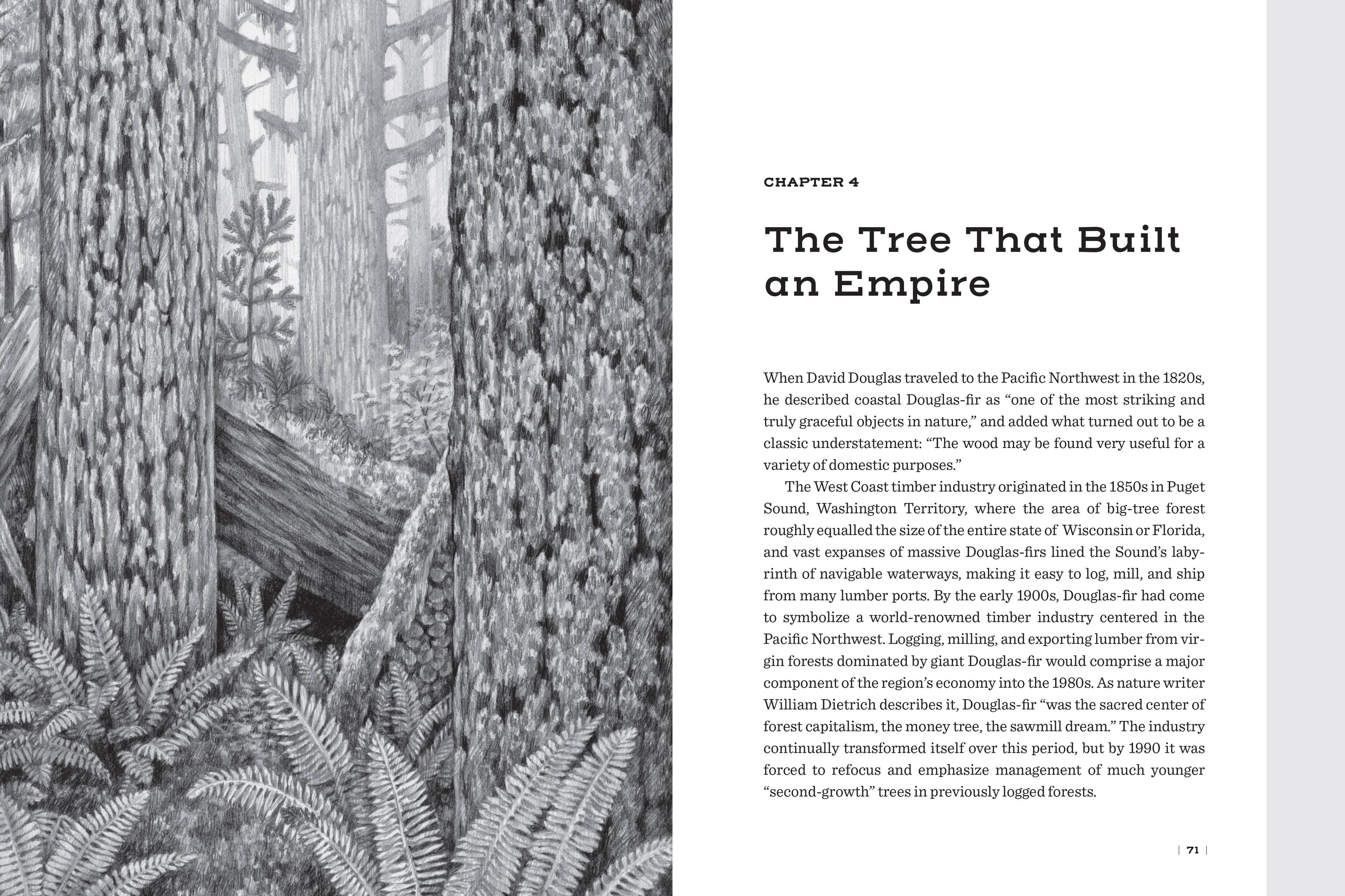 Douglas Fir: The Story of the West’s Most Remarkable Tree