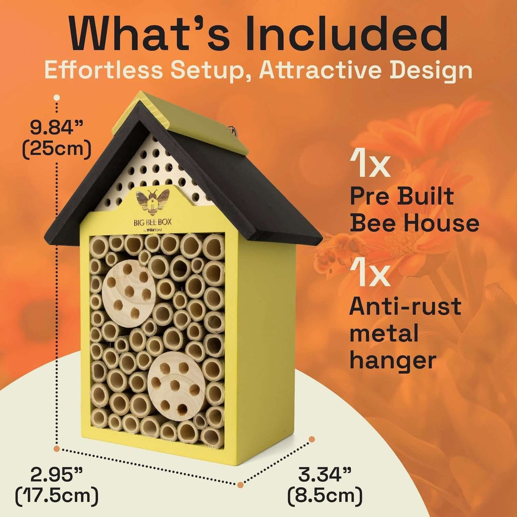 Bee House – Big Bee Box