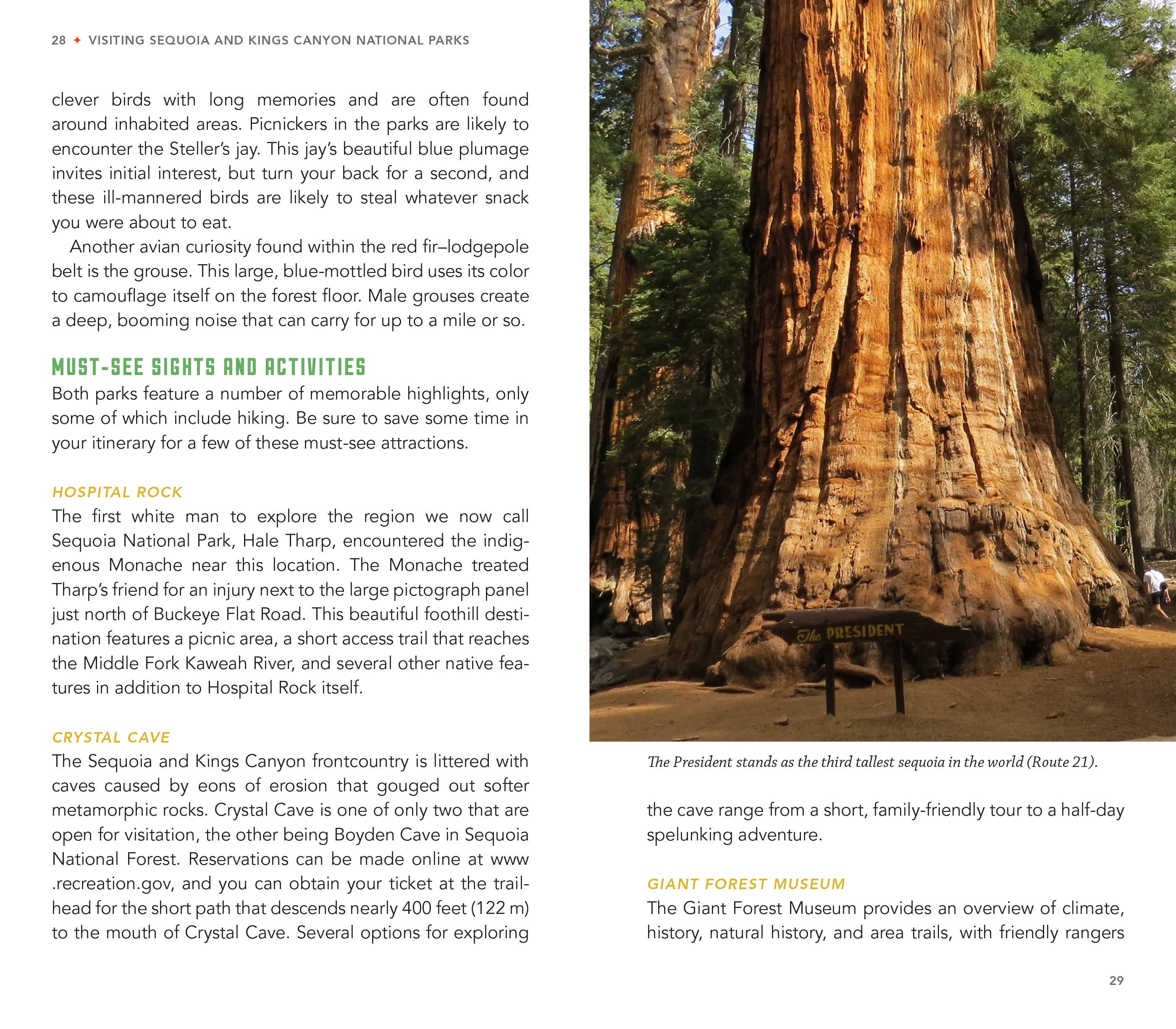 Hike the Parks: Sequoia-Kings Canyon National Parks