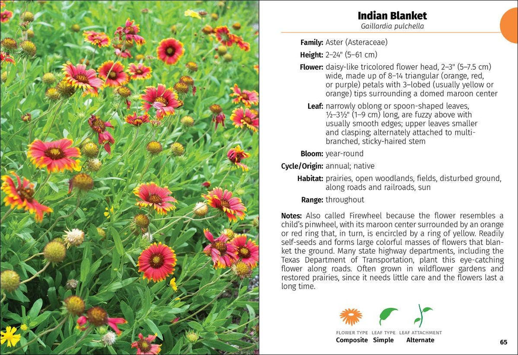 Wildflowers of Texas Field Guide 2e