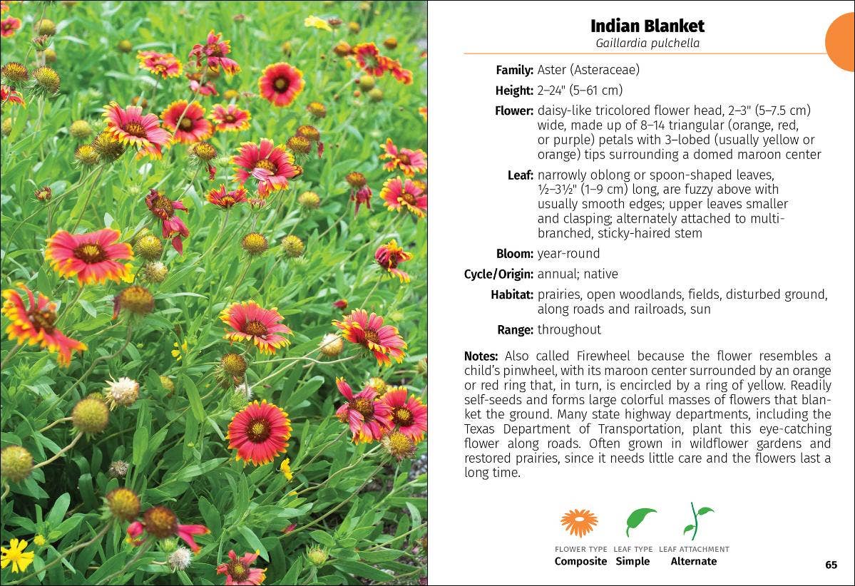 Wildflowers of Texas Field Guide 2e