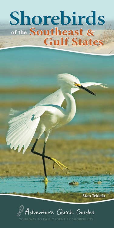 Shorebirds of Southeast & Gulf Quick Guide