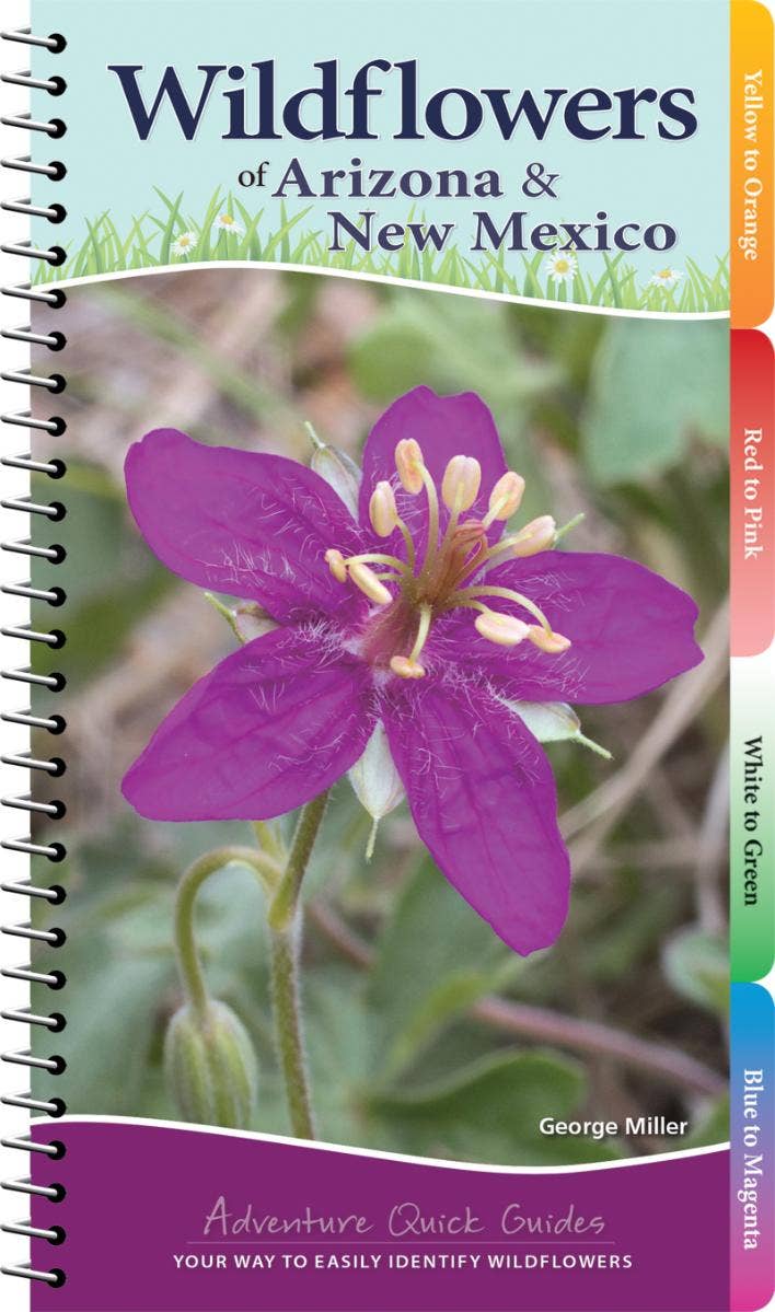 Wildflowers of Arizona and New Mexico Quick Guide