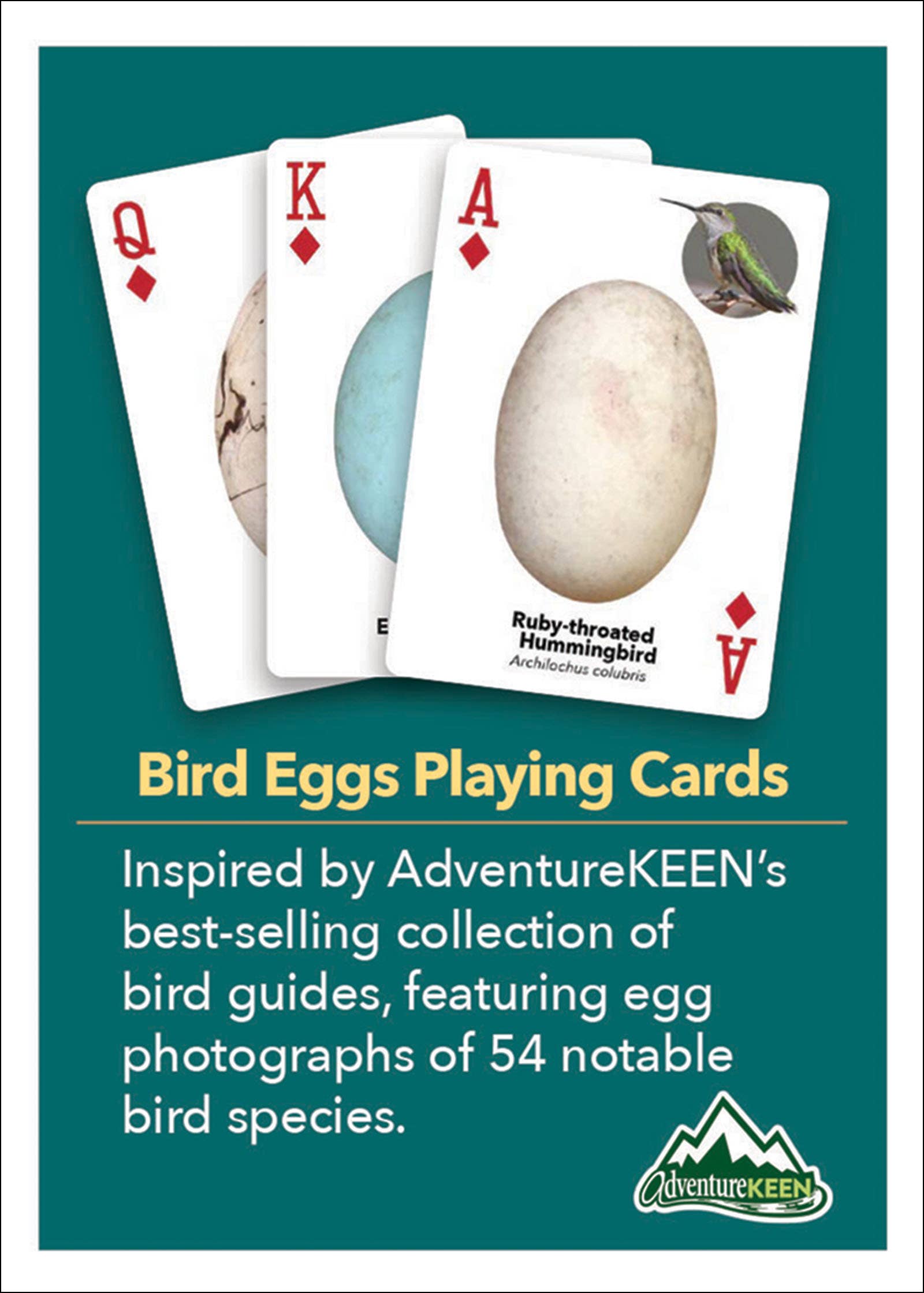 Bird Eggs Playing Cards
