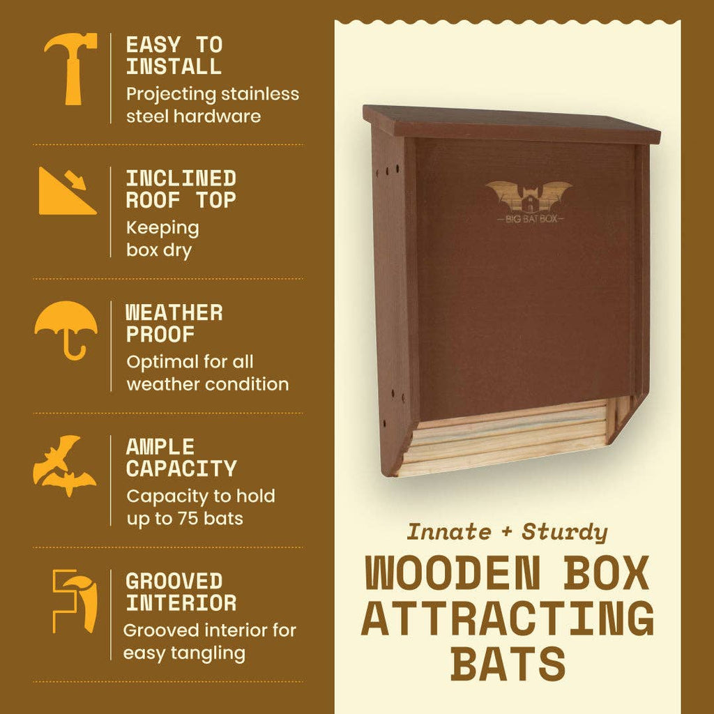Big Bat Box - Two-Chamber Bat House