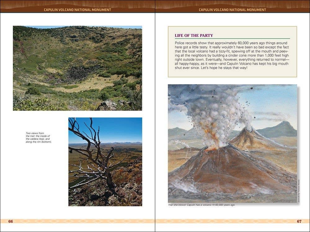 New Mexico Journey Guide