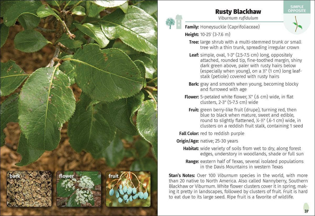 Trees of Texas Field Guide 2e