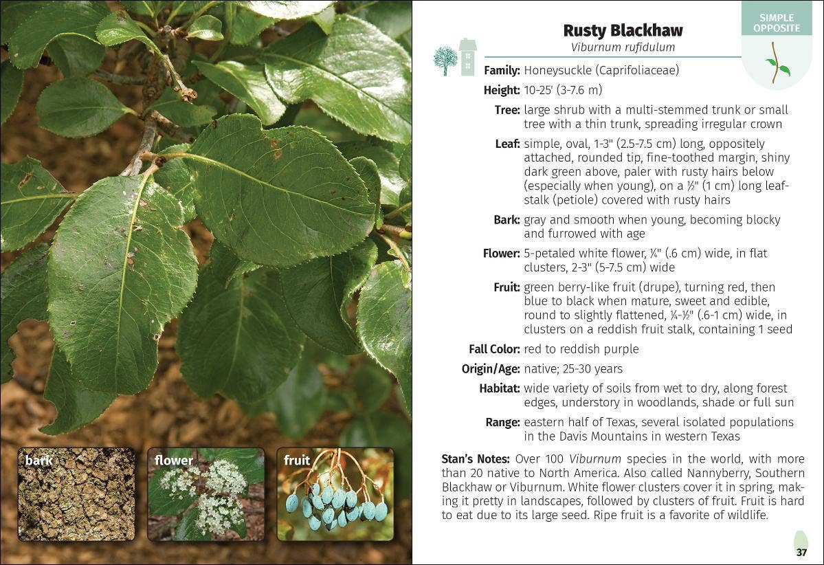 Trees of Texas Field Guide 2e