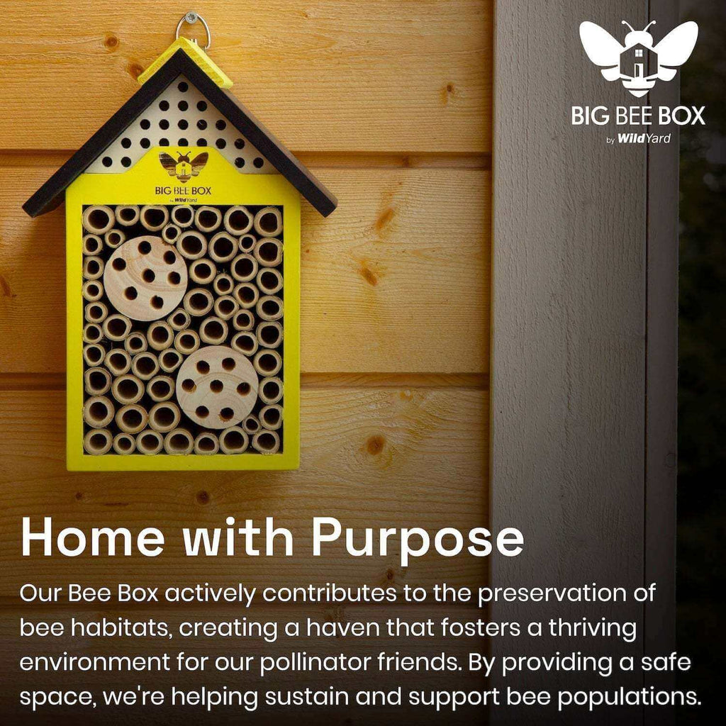 Bee House – Big Bee Box