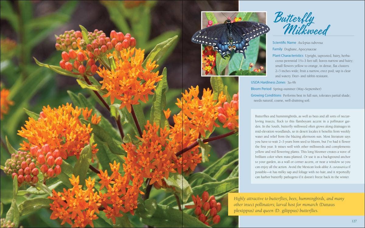 Native Plant Gardening: South